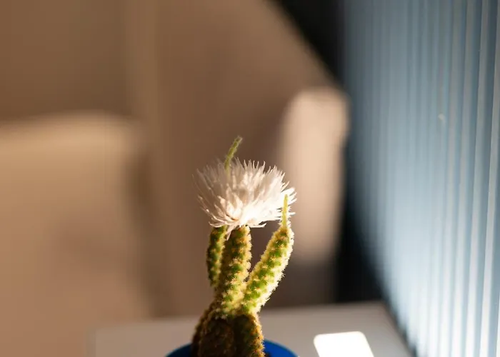 Inluce Loft 圣雷默